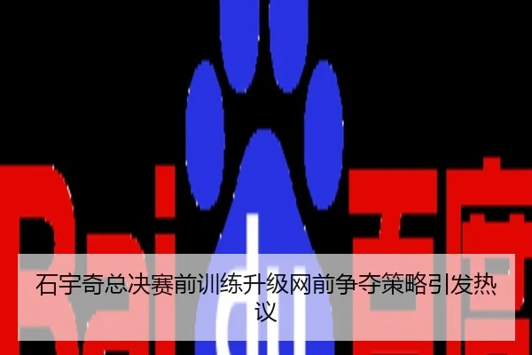 石宇奇总决赛前训练升级网前争夺策略引发热议