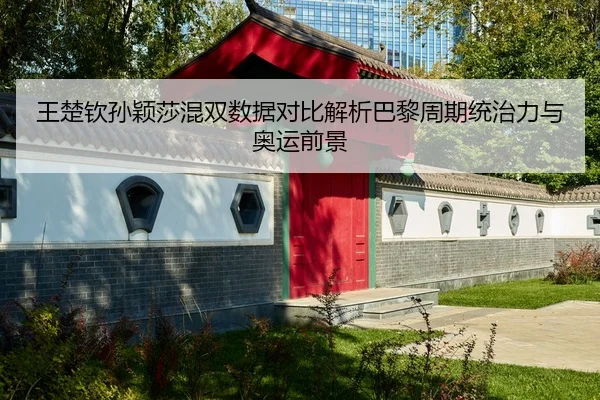 王楚钦孙颖莎混双数据对比解析巴黎周期统治力与奥运前景